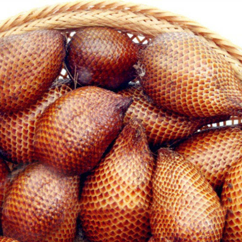 Змеиный фрукт (Gandaria) Семена / торговая точка Семяныч